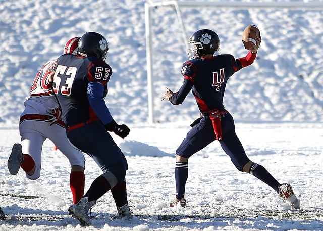 但隊內戰術 但隊內戰術