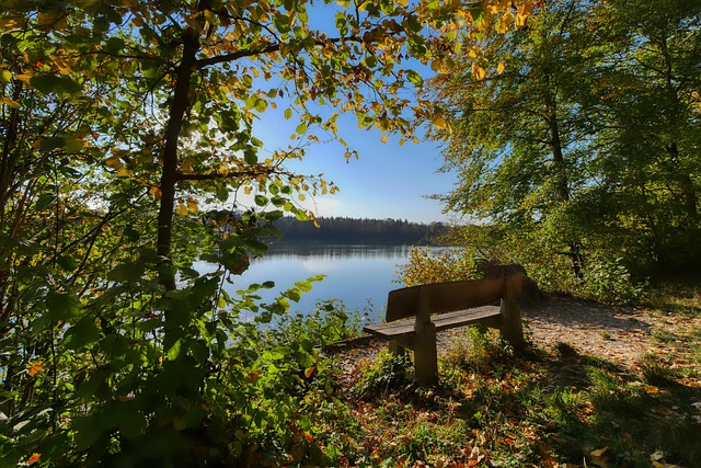 有效地传达 有效地传达