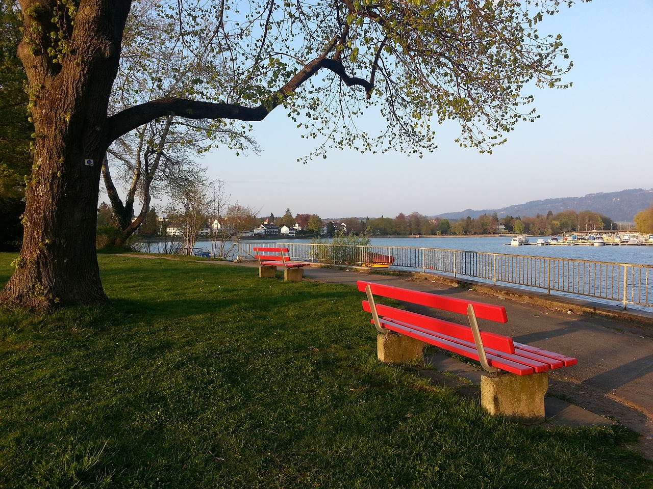 挥的同时 挥的同时